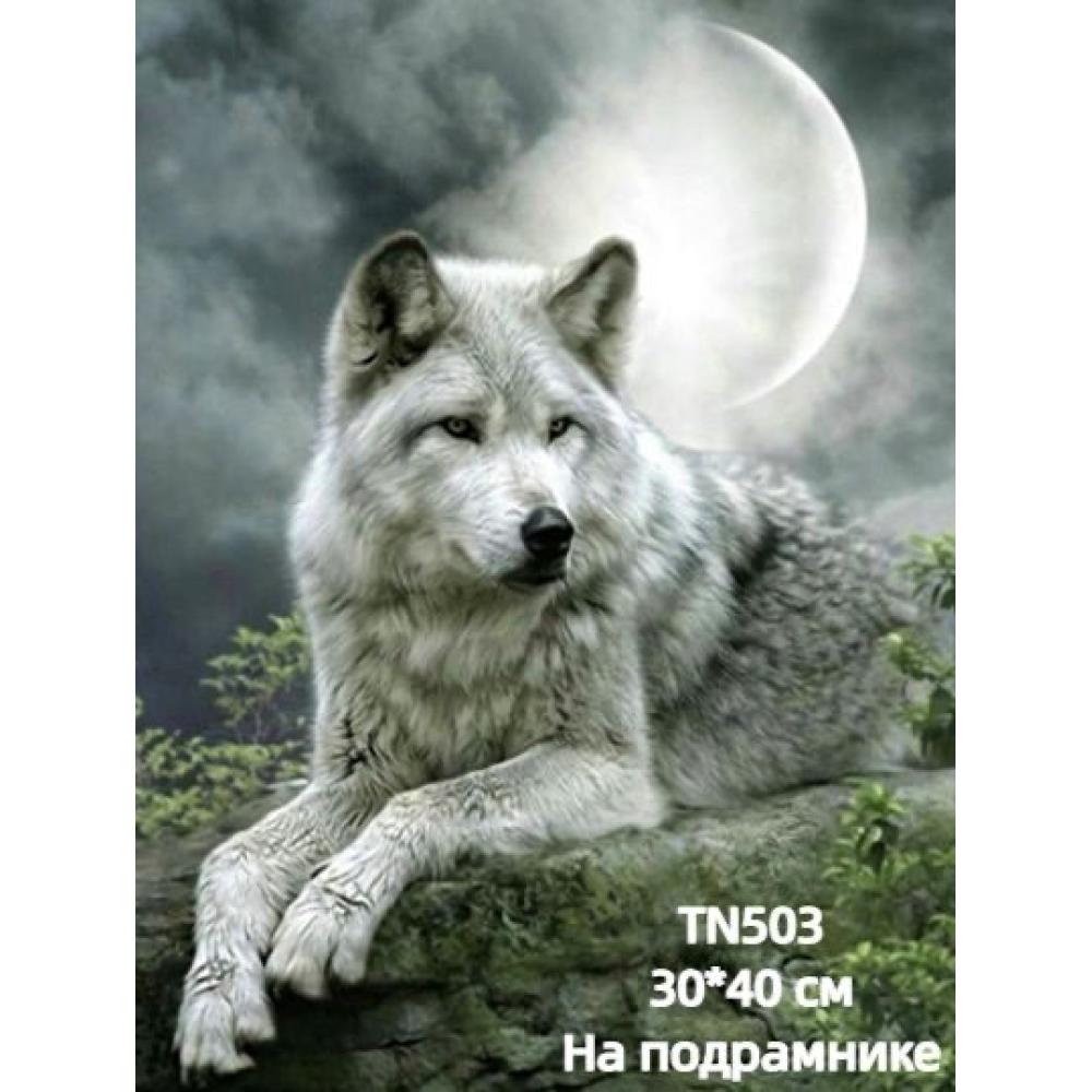 Алмазная мозаика Волк 30/40 на подрамнике квадратные алмазы