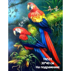 Хвилясті папуги 30/40 Алмазна мозаїка на підрамнику квадратні алмази