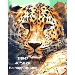Леопард 40/50 Алмазна мозаїка на підрамнику квадратні алмази