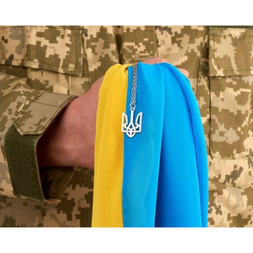 Алмазна мозаїка “У руках захисника“ 40*50 см