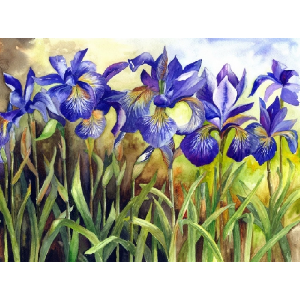 Алмазная мозаика “Ирисы“ 40*30см