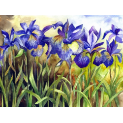 Алмазная мозаика “Ирисы“ 40*30см